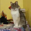 Отзыв от Инесса Егорова